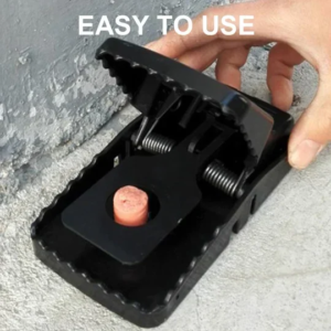 8 Rat Traps